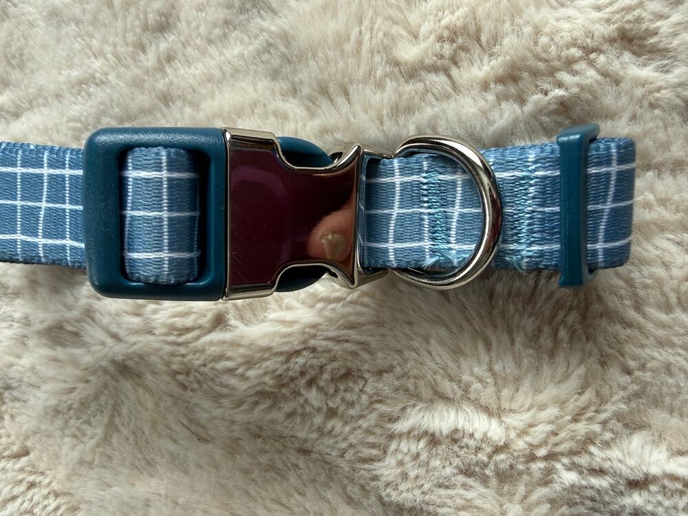 Vibrant Life Adjustable Dog Collar NEW